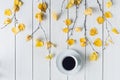 cup of coffee in the in birch branches with yellow leaves on white retro wood boards. background. Autumn, fall concept. Flat lay Royalty Free Stock Photo