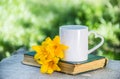 Cup Of Coffee And Book. Cup Of Tea And Flowers. White Mug On Natural Background