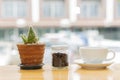 A cup of coffee and a bottle with coffee beans inside with a bucket of plants on a blurred background table. Royalty Free Stock Photo