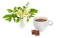 Cup of coffee and bouquet of lilies of the valley in a vase isolated on white background. Collage Royalty Free Stock Photo