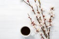 Cup of coffee and branches of blossoming apricot.