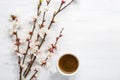 Cup of coffee and branches of blossoming apricot on old wooden shabby background