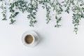 Cup of coffee in branches with green leaves on a white table. Cofee art. Flat lay, top view. Royalty Free Stock Photo
