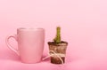 Cup of coffee, cactus and empty background. Pink mug and cactus.