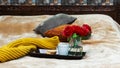 Cup of coffee, chocolate cookies and red roses flowers vase in tray during the morning above brown bed Royalty Free Stock Photo