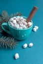 Cup of coffee or cocoa with marshmallows and cinnamon and fir branches on turquoise close up. Vertical orientation.