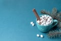 Cup of coffee or cocoa with marshmallows, cinnamon and fir branches on turquoise close up. Xmas background. Copy space.