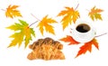 Cup of coffee, delicious croissants and autumn maple leaves isolated on white . Collage