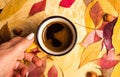 Cup of coffee in and fallen leaves Royalty Free Stock Photo