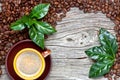 Cup of coffee with fresh coffee leaves on coffee beans background Royalty Free Stock Photo