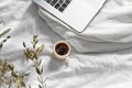 a cup of coffee, a laptop and a green eucalyptus branch Royalty Free Stock Photo