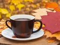 cup of coffee and a leaf with a natural background Royalty Free Stock Photo