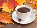 cup of coffee and a leaf with a natural background Royalty Free Stock Photo