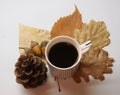 A cup of coffee and leaves Royalty Free Stock Photo