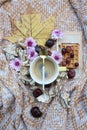 A cup of coffee with leaves and flowers Royalty Free Stock Photo