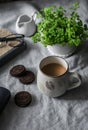 Cup of coffee with milk, chocolate cookies, flower pot, book - cozy morning still life table. Home lazy interior Royalty Free Stock Photo