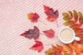 Cup of coffee with milk and colorful autumn leaves on pastel pink knitted plaid background. Autumn cozy. Flat lay, top view, copy Royalty Free Stock Photo