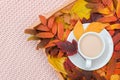 Cup of coffee with milk and colorful leaves on wood tray on pink pastel knitted plaid background. Autumn cozy. Flat lay, top view Royalty Free Stock Photo