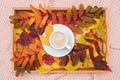 Cup of coffee with milk and colorful variegated leaves on wood tray on pink pastel knitted plaid background, closeup. Autumn cozy Royalty Free Stock Photo