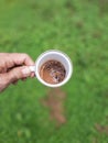 A Cup of Coffee Milk in Dreamy Green Garden