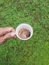 A Cup of Coffee Milk in Green Meadow