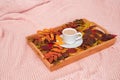 Cup of coffee with milk and variegated colorful leaves on wood tray on pink pastel knitted plaid background. Concept Autumn cozy, Royalty Free Stock Photo