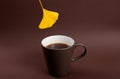 Ginkgo leaves and coffee Royalty Free Stock Photo