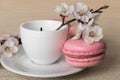 Cup of coffee with pink macaroons and white flowers