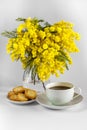 Cup of coffee, plate with toasts and vase with branches of mimosa on a white background Royalty Free Stock Photo