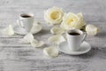 Cup of coffee and a rose breakfast Royalty Free Stock Photo
