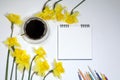 Cup of coffee and a saucer, daffodils and pencils on a white background Royalty Free Stock Photo