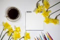 Cup of coffee and a saucer, daffodils and pencils on a white background Royalty Free Stock Photo