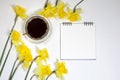 Cup of coffee and a saucer, daffodils on a white background Royalty Free Stock Photo