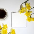 Cup of coffee and a saucer, daffodils on a white background Royalty Free Stock Photo