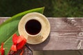Cup of coffee with saucer large, tropical green canna leaf and red flower on wood. Copy space for your text and product. Top view Royalty Free Stock Photo