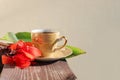 Cup of coffee with saucer and large tropical green cannes leaf and the red flower of Canna on beige background, on wooden surface Royalty Free Stock Photo