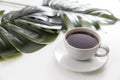 Cup of coffee with saucer with palm leaf Royalty Free Stock Photo