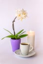 A cup of coffee, a small white orchid and a burning candle Royalty Free Stock Photo