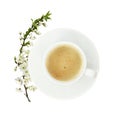 Cup of coffee and soucer with spring twig of flowers isolated on white background. Top view. Flat lay