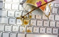 Cup of coffee spilling onto a laptop keyboard Royalty Free Stock Photo