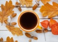 A cup of coffee stands on autumn yellow oak leaves with acorns on a white background. Top view.