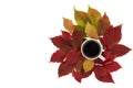 Cup of coffee surrounded by autumn leaves Royalty Free Stock Photo