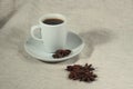 A cup of coffee and truestar anisetree Royalty Free Stock Photo