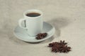 A cup of coffee and truestar anisetree Royalty Free Stock Photo