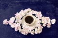 Cup of coffee, wreath sweet peas, top view Royalty Free Stock Photo