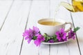 Cup of common mallow tea with fresh blooming malva sylvestris plant on white rustic table