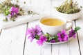 Cup of common mallow tea with fresh blooming malva sylvestris plant on white rustic table Royalty Free Stock Photo