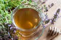 A cup of creeping thyme thymus serpyllum tea Royalty Free Stock Photo