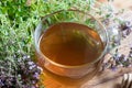 A cup of creeping thyme tea on a wooden table Royalty Free Stock Photo