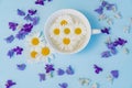 Cup with daisies on blue background. natural medicines and cosmetics